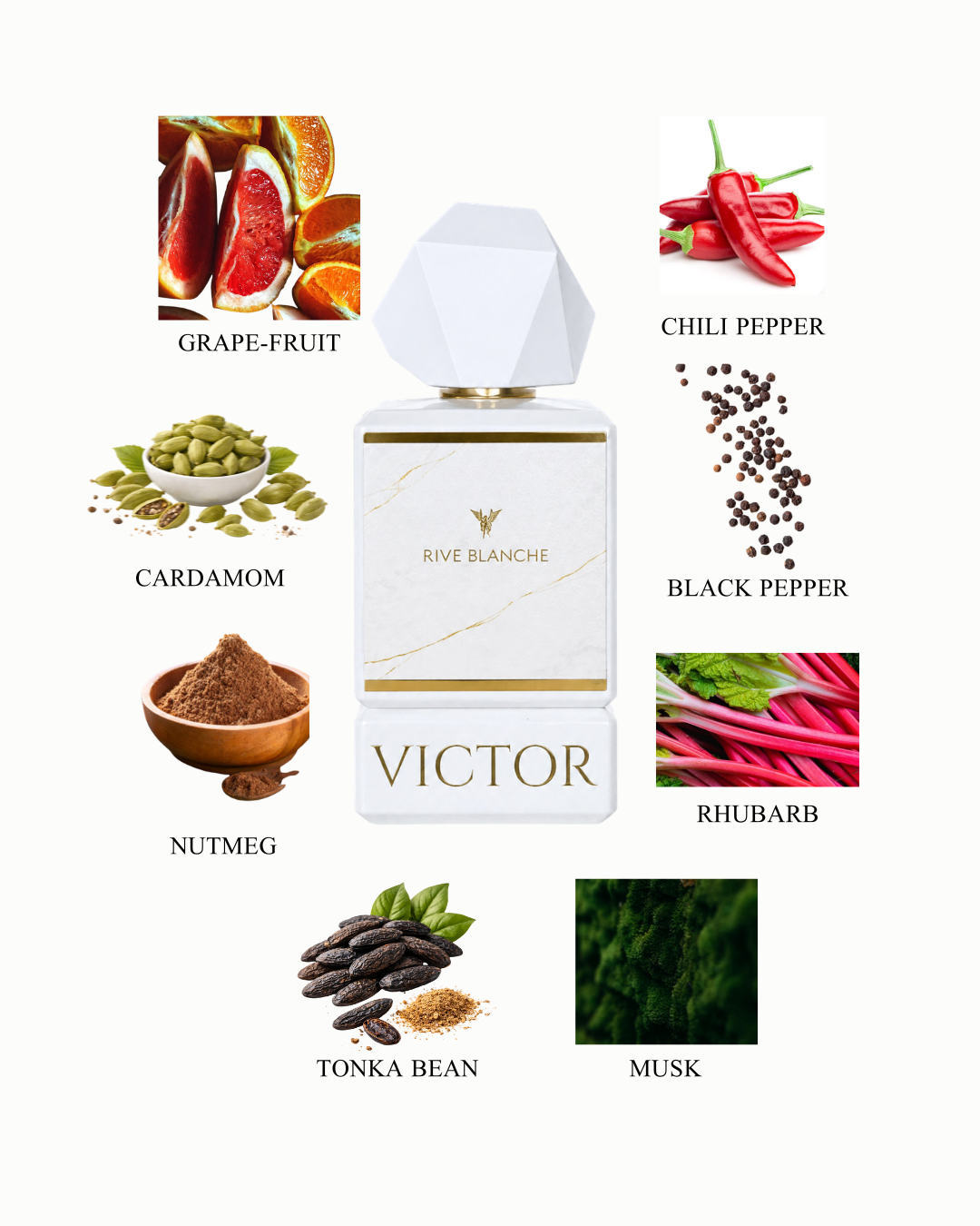 RIVE BLANCHE 50 ml EXTRAIT