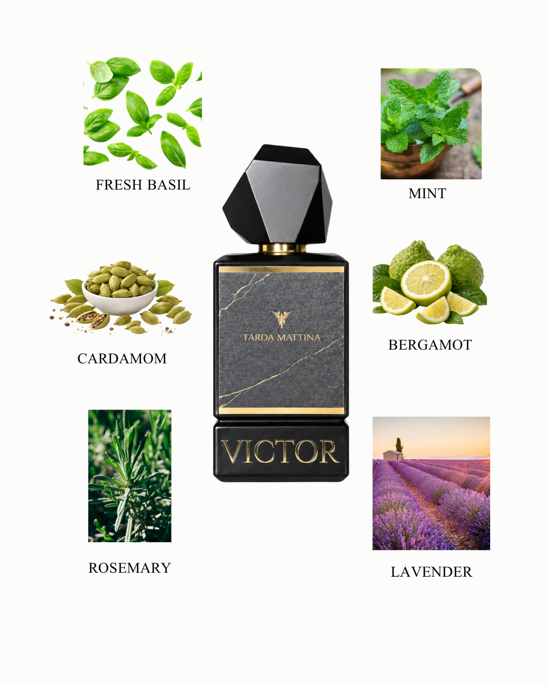TARDA MATTINA 50 ml EXTRAIT